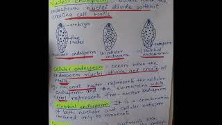 Exploring endosperm types and functions endosperm neet [upl. by Eatnoid]