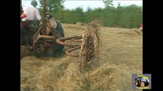 MASSEY FERGUSON 35 AND VICON ACROBAT [upl. by Schulze]