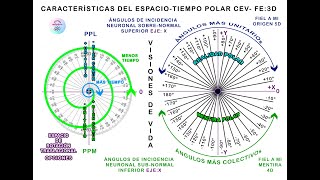 R3 RESUMEN HISTORIA POLAR UNIVERSO SUMATORIO Cev sale de singularidad y crea FE3D Clase 46 [upl. by Paulie]