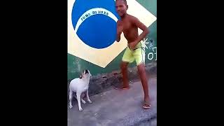 Perro bailando samba con brasileño [upl. by Siravart477]