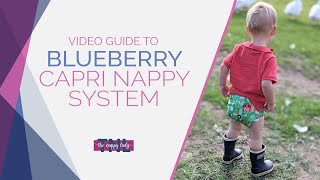 Blueberry Capri Nappy System Video Guide  The Nappy Lady [upl. by Finkelstein]