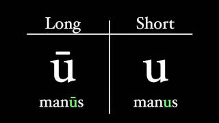 The Latin Alphabet  Vowel Pronunciation [upl. by Hcir]