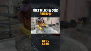 한국인의 밥상 바다가 내어준 텃밭🌊 해물잡탕🍲  KBS 방송 [upl. by Lorrin]