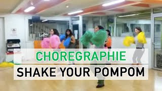 Shake Your Pom Pom  Missy Elliott  CHOREGRAPHIE POM POM GIRL [upl. by Josephina345]