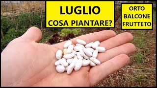 Cosa piantare nel mese di LUGLIO nellOrto e nel Frutteto  Tutorial Agricoltura [upl. by Fridell851]