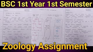 Bsc 1st year 1st Semester Zoology Assignment  Bsc wale Zoology ka Assignment kaise banaye [upl. by Acemahs83]