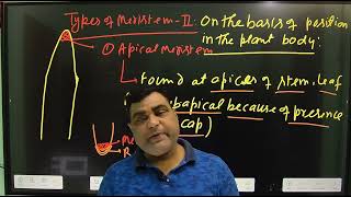 TYPES OF MERISTEMATIC TISSUE 2nd for NEETTGT ll PGT ll LT GIC BIOLOGY Assistant professor [upl. by Ordnaxela]