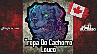 TROPA DA VU TROPA DO CACHORRO LOUCO 🇨🇦  MC NEGRITIN DJ JHON JHON COMPLEXO DO CANGULO ♫♪ 2K21 [upl. by Dittman620]