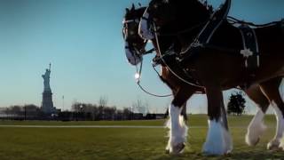 Budweiser Clydesdales 911 Tribute Ad Super Bowl 2011 [upl. by Otinauj]