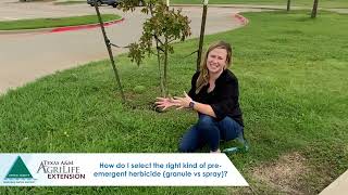 How to Use Preemergent Herbicides Properly in North Texas [upl. by Amol]