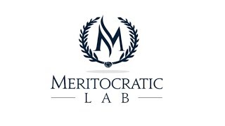 ICO Meritocratic Lab MRT Чем интересно ICO [upl. by Barren]