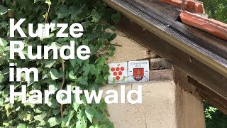 Kurze Runde im Hardtwald es wird laut [upl. by Enilauqcaj]