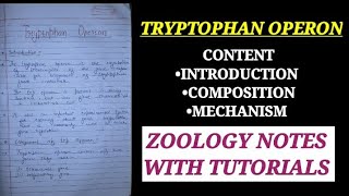 TRYPTOPHAN OPERON HINDI EXPLAINATION trpoperon attenuation msc zoologynotes bsc1styear cell [upl. by Zat430]