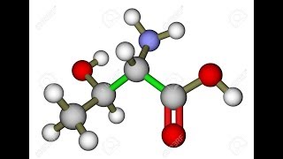 Threonine  Protein Collagen Elastin Tooth Enamel Fat Metabolism Liver Immunity Indigestion [upl. by Atila551]