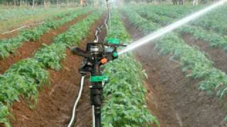 a spriklers system I instaled in India for Jain irrigation co [upl. by Wooster582]