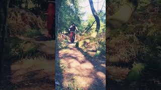 Dad log jump haldon off piste mtb mountainbikejumps ytshort mtbjumps [upl. by Drahsar810]