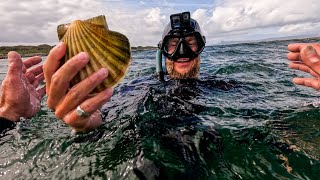 Epic Free Dive for XL Scallops amp Wild Mushroom Foraging  Catch amp Cook Adventure [upl. by Astrid917]