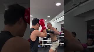 Boxer goes toetotoe with UFC champ Alex Pereira during a South Korea gym session 😳 Boxing MMA [upl. by Elbart]