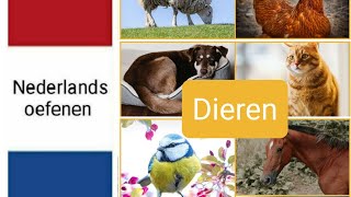 Dieren  animals  Nederlands leren  woordenschat  NT2  learn Dutch [upl. by Westleigh]