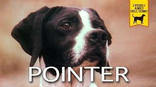 IL POINTER trailer documentario [upl. by Inohs]