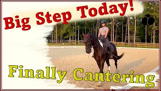 Finally Our First Canter in Six Months [upl. by Northey]