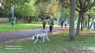 Logroño en otoño  Walking Tour [upl. by Wamsley]