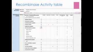 crelox and cre recombinases in Mouse Genome Informatics worksheet module 2 [upl. by Brodeur262]