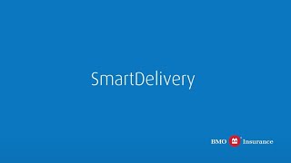 SmartDelivery [upl. by Galvin573]