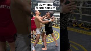 MUAY THAI ELBOW STRIKES ufc mma fighting [upl. by Ylrehs151]