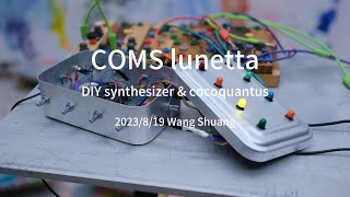 DIY synthesizer CMOS lunetta amp cocoquantus [upl. by Anak]