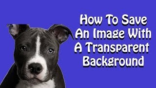 How To Save An Image With Transparent Background  Photoshop Tutorial [upl. by Nyladnarb]