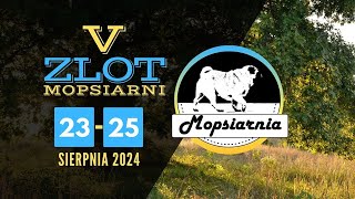 V Zlot Mopsiarni 2024 [upl. by Pejsach]