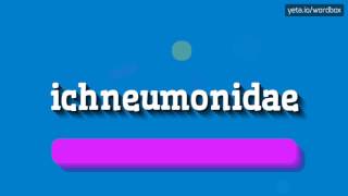 ICHNEUMONIDAE  HOW TO PRONOUNCE IT [upl. by Revlys]