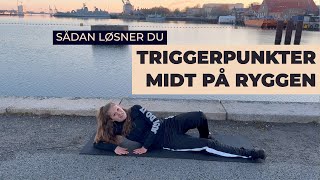 TRIGGERPUNKTER MIDT PÅ RYGGEN  Sådan løsner du triggerpunkterne med en massagebold [upl. by Alemahs]