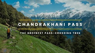 Chandrakhani Pass  A Stunning PassCrossing Trek Near Manali  Green Forest  Secluded  Indiahikes [upl. by Littell424]