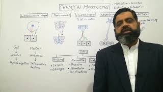 Chemical Messengers English medium profmasoodfuzail Hormones  Pheromones  Types of Hormones [upl. by Alimrahs]