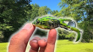 This LUNKERHUNT Frog is INSANELY DIFFICULTWEIRD LURE CHALLENGE [upl. by Irma783]