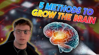 5 Methods to grow your brain [upl. by Blain]