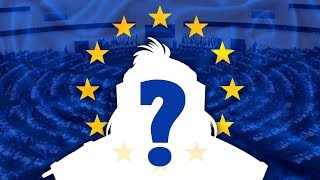 Im running for Member of the European Parliament [upl. by Negam599]