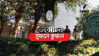 সুফলে কুফল  Sufole Kufol  Unmochon  Maasranga Crime Program [upl. by Arihay474]