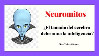 Neuromitos ¿el tamaño del cerebro importa [upl. by Ellerehs]