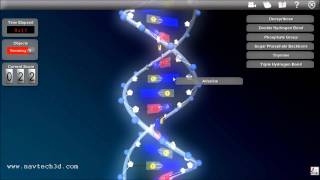 Interactive 3D DNA [upl. by Duyne]