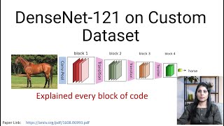 DenseNet121 Implementation on Custom Dataset  DenseNet [upl. by Farhi5]