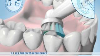 ORAL B BROSSE A DENTS  Soin dentaire  Vidéo produit Vandenborrebe [upl. by Moguel]