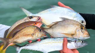 NO Fish Left BEHINDCatch Clean Cook Florida Keys Reef Fish [upl. by Rosalie156]