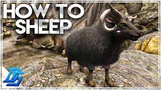 How To Tame Ovis Where to Find and Why They Are Rare Mutton  Ark Survival Evolved [upl. by Ibur279]