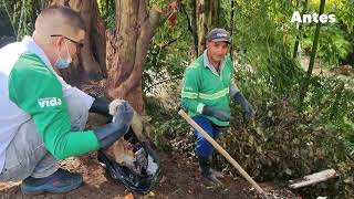 JORNADA DE LIMPIEZA QUEBRADA LA CHAPARRALA [upl. by Imik]