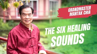 The Six Healing Sounds what healthy organs sound like Taoist practice with Grandmaster Mantak Chia [upl. by Eniarda]