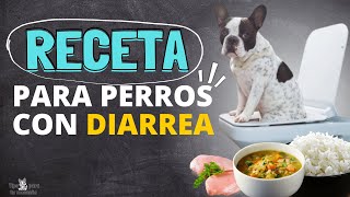 DIETA BLANDA PARA PERROS CON DIARREA [upl. by Beal]