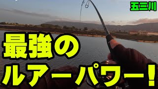 デカバスを食わせれる最強のルアーパワーが凄すぎる！！！【五三川】【バス釣り】【シャーベットヘアーチャンネル】 [upl. by Ajroj]